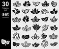 Tobacco leaf icons set. Collection icon tobacco. Vector