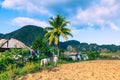 Tobacco plantation with hut and palms in the background. The Vinales Valley Valle de Vinales, popular tourist destination. Pinar Royalty Free Stock Photo