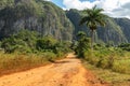 Tobacco plantation with hut and palms in the background. The Vinales Valley Valle de Vinales, popular tourist destination. Pinar Royalty Free Stock Photo