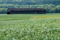 Tobacco Shed In a Field Of Crops Royalty Free Stock Photo