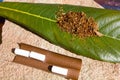 Tobacco for smoking on the sheet