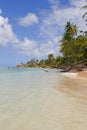 Tobago beach Royalty Free Stock Photo