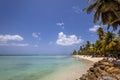 Tobago Beach