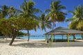 Tobago beach, Caribbean