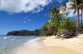 Tobago beach - Mt. Irvine bay and beach - Tropical beach of Caribbean sea