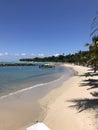 Tobago beach Royalty Free Stock Photo