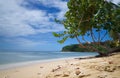 Tobago island - Mt. Irvine bay - Tropical beach of Caribbean sea Royalty Free Stock Photo