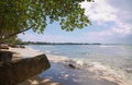 Tobago - Mt. Irvine bay - Tropical beach of Caribbean sea Royalty Free Stock Photo