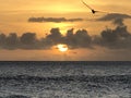 Tobago sunset