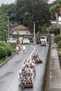 Tobogganing in Madeira