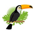 Toco toucan icon is a flat, cartoon style. Exotic bird sitting on a branch in the tropics. Isolated on white background