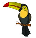 Toco Toucan illustration vector