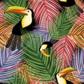 Toucans and Palm Leaves vector Seamless Textile Pattern Design Royalty Free Stock Photo