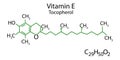 Tocopherol skeletal formula. Vitamin E molecular structure. Scientific background. Vector illustration. Stock image.