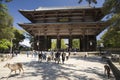 Todai-ji temple gate, Nara, Japan Royalty Free Stock Photo