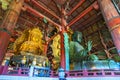 The Todaiji Buddha. It is considered the world`s largest bronze statue of the Buddha Vairocana in Nara Japan Royalty Free Stock Photo