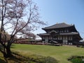 Todaiji Royalty Free Stock Photo