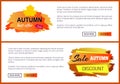Only Today Autumn Sale -35 Advert Promo Poster