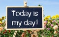 Today is my day - chalkboard or easel in the summer garden Royalty Free Stock Photo