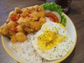 Todayâs plate: white rice, soft egg, salted-egg chicken, and a side of salad Royalty Free Stock Photo