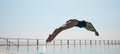 Today, you have 100 of your life left. Shot of a young athlete diving into an olypmic-sized swimming pool.