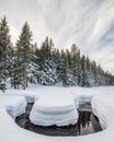 Todd Creek Winding through Snow, Deschutes National Forest, Oreg Royalty Free Stock Photo