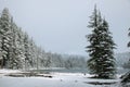 Todd lake in a snowy day on June Royalty Free Stock Photo