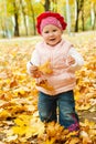 Toddler in autumn park Royalty Free Stock Photo