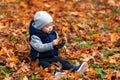 Toddler baby boy in the autumn leaves Royalty Free Stock Photo