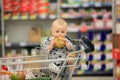 Toddler baby boy, sitting in a shopping cart in grocery store, s Royalty Free Stock Photo