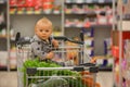 Toddler baby boy, sitting in a shopping cart in grocery store, s Royalty Free Stock Photo