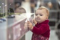 Toddler baby girl considering layout showcase shopping center