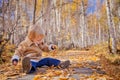 Toddler Boy in the Autumn leaves Royalty Free Stock Photo