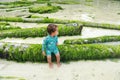 Toddler boy in blue swimsuit sitting on green trunk Royalty Free Stock Photo