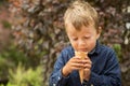 Toddler boy eating icecream cone in Park Royalty Free Stock Photo