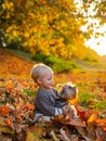 Toddler boy enjoy autumn with dog friend. Small baby toddler on sunny autumn day walk with dog. Warmth and coziness Royalty Free Stock Photo
