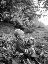 Toddler boy enjoy autumn with dog friend. Small baby toddler on sunny autumn day walk with dog. Warmth and coziness Royalty Free Stock Photo