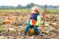Toddler boy having fun sitting on huge halloween pumpkin Royalty Free Stock Photo
