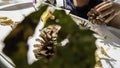 Toddler boy is painting yellow leaves and pine cones in fall with eco friendly paint. Sensorial activity at home