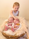 Toddler boy with identical twin babies Royalty Free Stock Photo