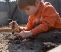 Toddler boy in an orange sweater helps his mother plant greenery in the garden on a bright sunny day Royalty Free Stock Photo