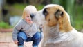 Toddler boy playing with dog Royalty Free Stock Photo