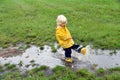 Toddler boy playing in a muddy puddle on a rainy day Royalty Free Stock Photo