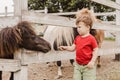 Toddler boy pointing his finger at pony horse Royalty Free Stock Photo