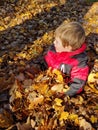 Toddler boy in red jacket playing in autumn leaves Royalty Free Stock Photo