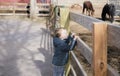 Toddler Boy Visiting a Local Urban Farm Watching Horses Through