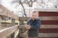 Toddler Boy Visiting a Local Urban Farm and Feeding the Cows