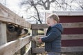 Toddler Boy Visiting a Local Urban Farm and Feeding the Cows wit