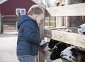 Toddler Boy Visiting a Local Urban Farm and Feeding the Goats