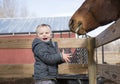 Toddler Boy Visiting a Local Urban Farm and Feeding the Horses w